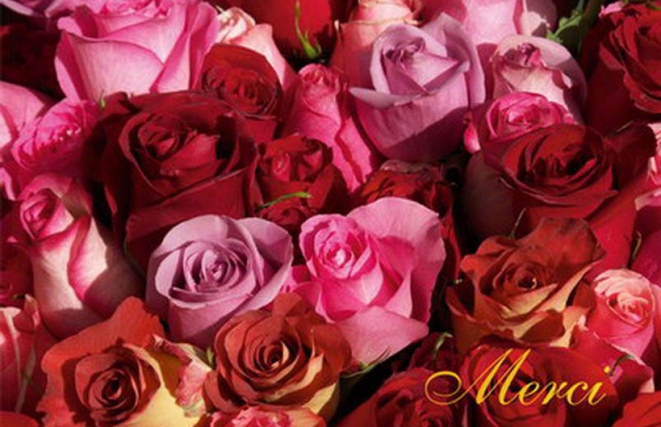 RC006 Merci
