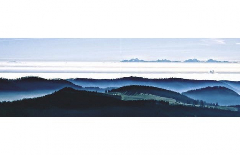 55nebelWaldundBerge