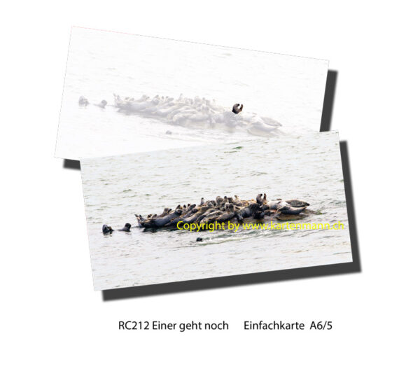 RC212   Einer geht noch A5/6 einfach